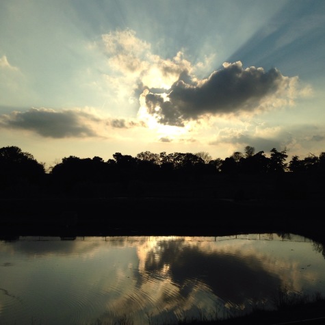   Sunlight shining through cloud cover at dusk in the Urbana Park. The trees provide a barrier between the sky and the water of the pond, which mirrors the clouds. 