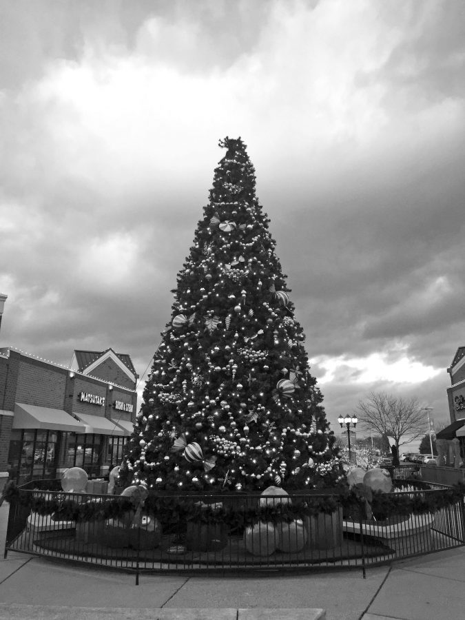 Christmas Movie Tree- Winter Dates