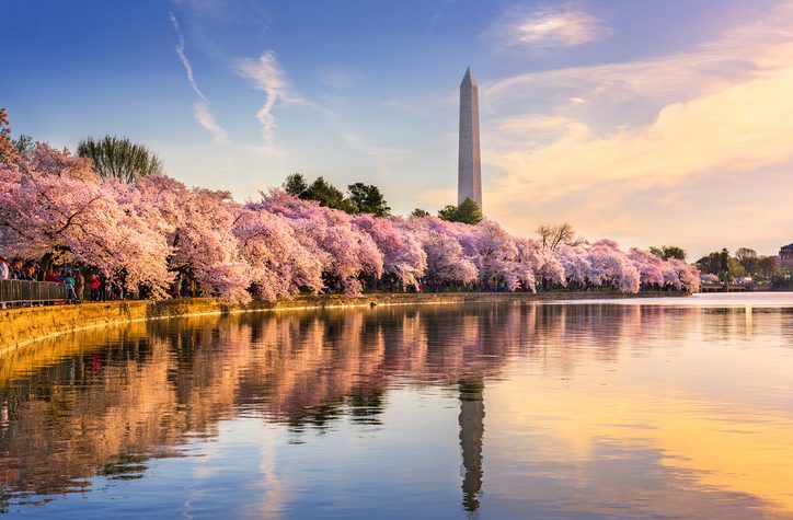 photo from https://www.closetbox.com/blog/top-things-washington-d-c-spring-2018/