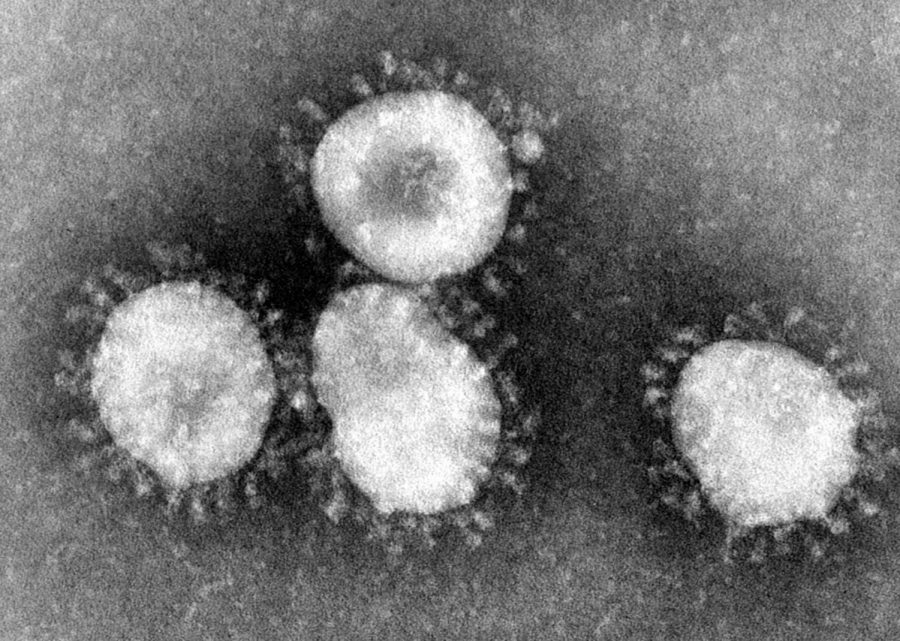 Is+the+Coronavirus+getting+out+of+hand%3F