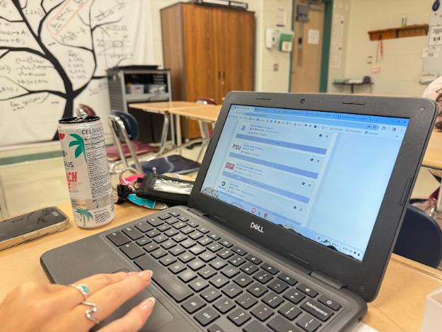 Senior Reagan Perhac caught frantically working on her Common App in class as deadlines approach.