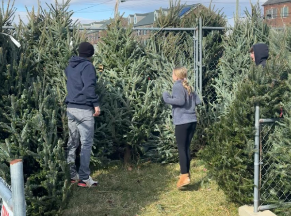 Dominic Giannini (Class of 2027) goes Holiday tree shopping at the Urbana Volunteer Fire Department with his dad and younger sister.